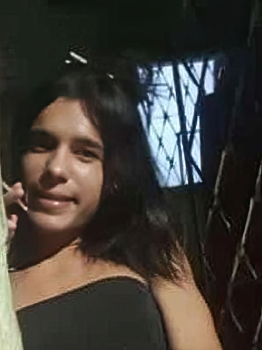N. B. da Silva